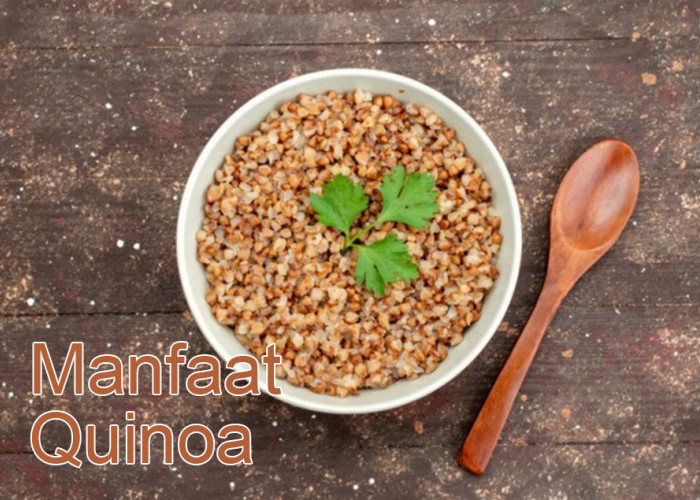 Mengurangi Risiko Penyakit Liver, Ini 7 Manfaat Quinoa bagi Kesehatan