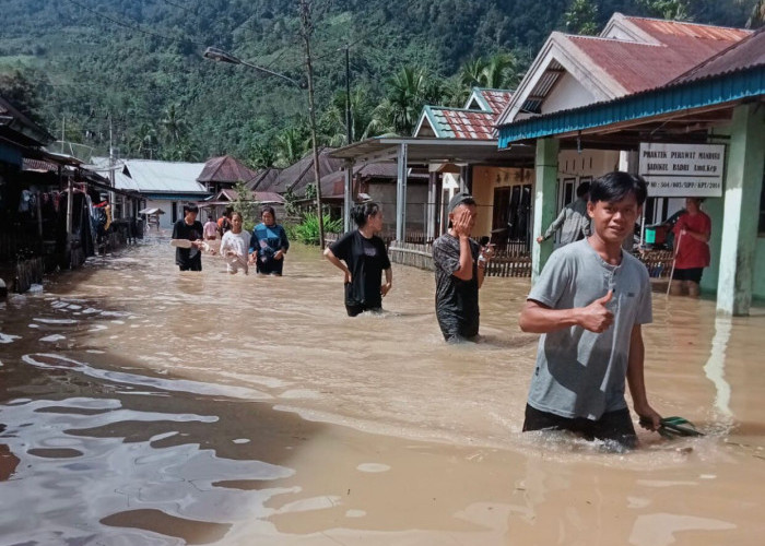 Update Terkini! 7 Kecamatan di Lebong Terendam Banjir 