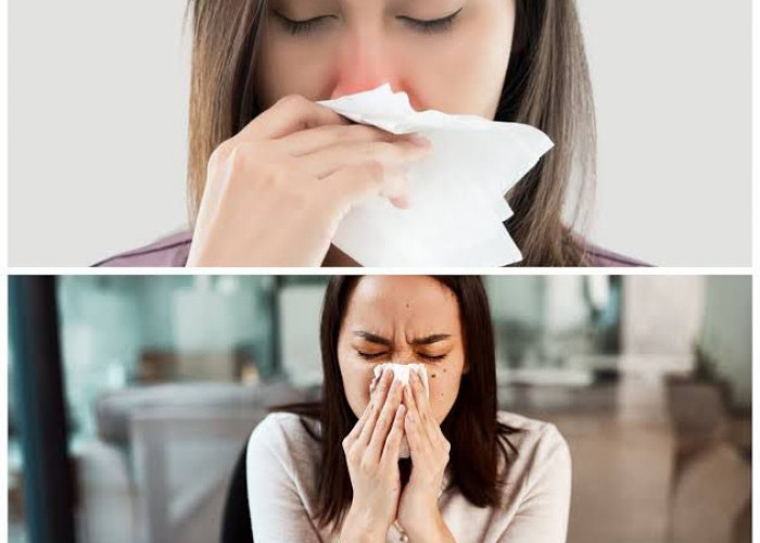 Penyebab Hidung Tersumbat dan Cara Mengatasinya 