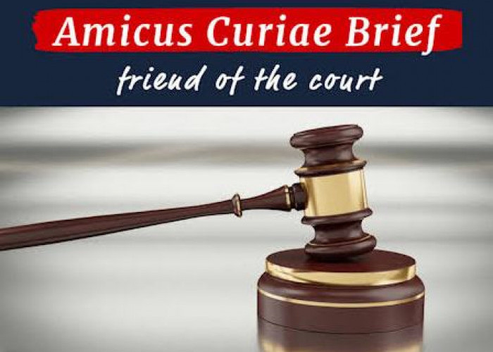 Mengenal Amicus Curiae dalam Peradilan serta Pengaruhnya