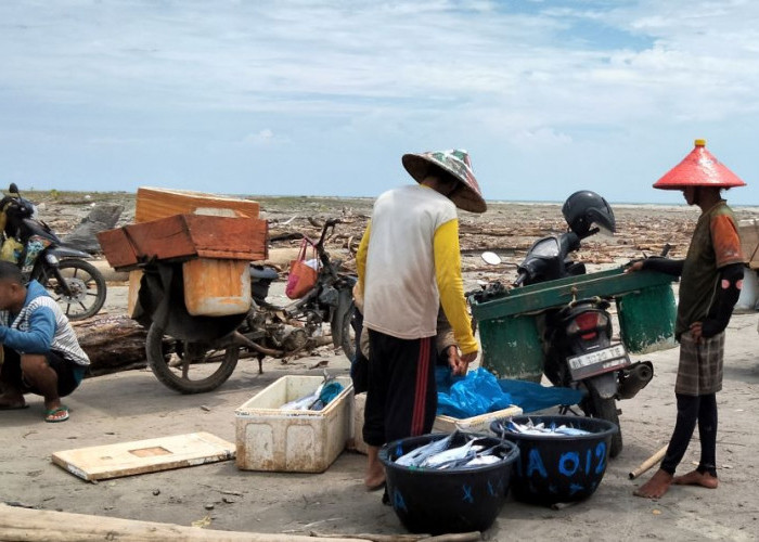 Hasil Laut Masuk Pasar Ekspor, Dinas Perikanan Mukomuko Upayakan Bantu Sarana dan Prasarana Nelayan 