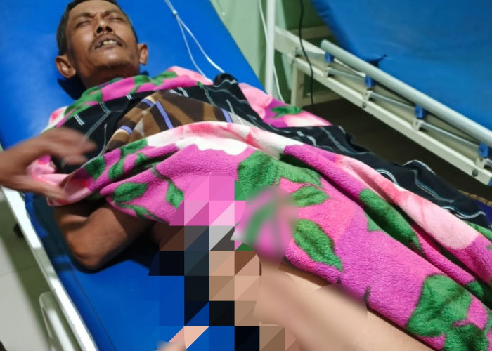 Petani Timun di Kepahiang Tersambar Petir, 2 Ekor Anjing Tak Selamat