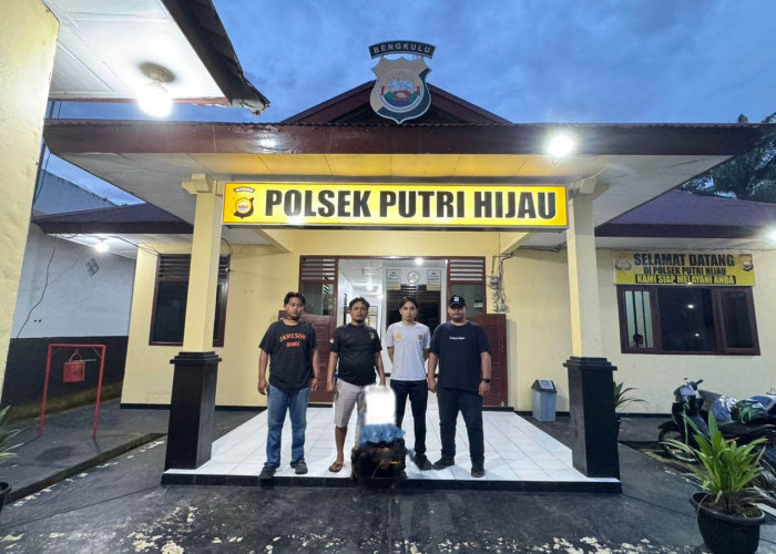 Ayah Cabuli Anak Kandung di Bengkulu Utara Ditangkap, Diperiksa Polisi Tersangka Membantah