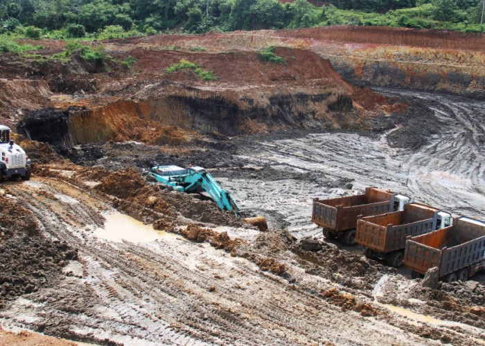 Segini Harga Per Ton Batu Bara, Setahun Batu Bara Asal Bengkulu Utara Hasilkan Rp 7,05 Triliun
