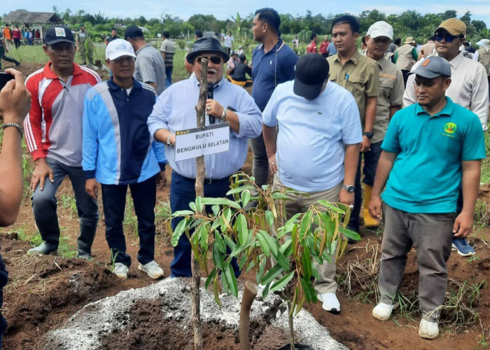 Kota Manna Bakal Punya Destinasi Baru, Wisata Petik Buah di Eks Peda KTNA