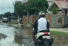 Banjir Mulai Mengancam, BPBD Kepahiang Siaga Bencana