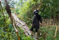 3 Tahun Tak Tersentuh Perbaikan, Jembatan Desa Pelajaran II Rusak Parah