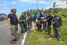 Sempat Hilang, ODGJ Rusak Mobnas Diamankan Satpol PP Mukomuko