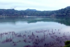 Murah dan Wajib Dikunjungi! Berikut 7 Tempat Wisata di Tomohon