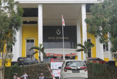 Dokter Spesialis Tak Minat Jadi PPPK di Kepahiang