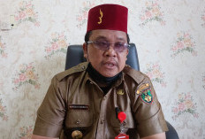 ‎Inspektorat Bengkulu Selatan Awasi Proyek Lampu Jalan Desa