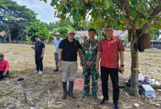 Ketahanan Pangan, Polres Kaur Kembali Tanam Jagung