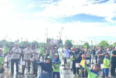 Dukung Program Nasional, 1.200 Mangrove Ditanam di Hutan Mangrove Pulau Baai 