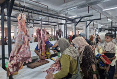 Jelang Idul Adha, Permintaan Daging Sapi di Kabupaten Bengkulu Utara Turun Tapi Harga Stabil