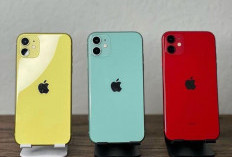 10 Rekomendasi iPhone Terbaik 2024, Masih Sangat Worth It untuk Dibeli!