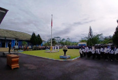 Awal 2026, Ribuan THLT Nganggur