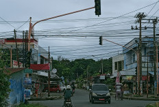 Traffic Light Jalan Mangga Raya Sudah 14 Hari Rusak