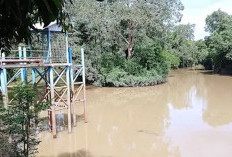 Destinasi Liburan Keluarga yang Menakjubkan! Berikut 4 Fakta Menarik Wisata Viral Sungai Lubuk Mas Rambang