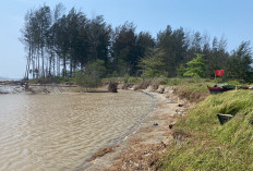 Abrasi Muara Sungai Bengkulu Makin Parah, DPRD: Segara Kita Sidak