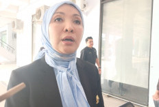Resmi! Nasdem Dukung Helmi - Mian di Pilgub Bengkulu, Besok Surat Dukungan Diserahkan 