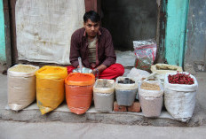 9 Jajanan Kaki Lima yang Banyak Ditemukan di New Delhi, India