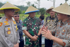 Mendes PDT Targetkan BUMDes di Bengkulu Selatan Jadi Percontohan Nasional