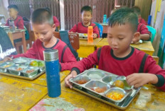 UMKM dan Petani Lokal Harus Ikut Nikmati Program Makan Bergizi Gratis