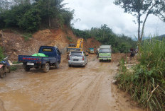 Pemeliharaan Butuh Rp50 Miliar, Dinas PUPR Upayakan Jalan Rejang Lebong-Lebong jadi Jalan Nasional