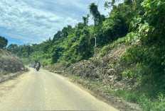 Waspada Longsor dan Pohon  Tumbang di 4 Kecamatan Ini Bengkulu Selatan 