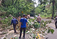 Waspada Melintas di Jalan  ‘Gunung’ Liku 9 Kepahiang 