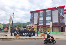 Stok Vaksin Habis, Disperkan Lebong Usulkan 200 Dosis Vaksin PMK