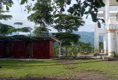 4 Gerai UMKM Berdinding Seng  Bernilai Ratusan Juta jadi Perhatian