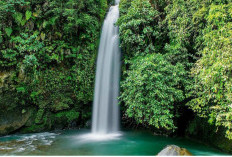4 Rekomendasi Wisata Alam di Pagar Alam, Cocok untuk Libur Akhir Tahun