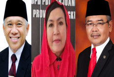 Helmi Hasan Bidik 3 Tokoh Jadi Pendamping di Pilgub Bengkulu 2024