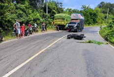 Kecelakaan Lalu Lintas di Air Padang Tewaskan Pengendara Motor