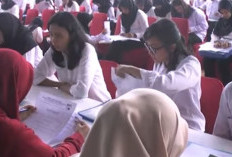 Pelamar CPNS 2024 di Instansi Sepi Peminat Tak Otomatis Lulus, Ini Penjelasan BKN