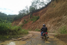 Pembebasan Lahan Jalan Baru Lebong Tuntas 2025