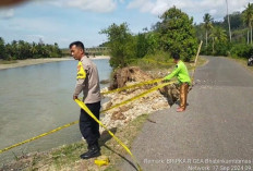 Jalan Ambles Tak Kunjung Diperbaiki