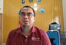 Dikembalikan ke TNKS, 21 SHM Lahan Hutan Dibatalkan