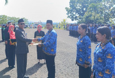 PPPK Paruh Waktu Pemkab Seluma Hanya Terima THR Rp250 Ribu
