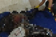 Polresta Bengkulu Tutup Kasus Kematian Penyewa Kamar di Sukarami