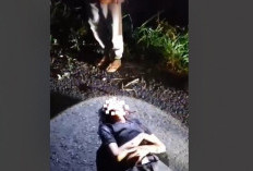 Geger, Siswi SMK Ditemukan Bersimbah Darah, Pelaku Diduga Pacar Korban