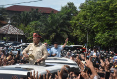 TPD Prabowo-Gibran Tak Gubris Surat Bawaslu, Pastikan Terus Berjalan 