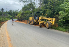  Dinas PUPR-P Lebong Bersihkan Material Longsor Tutupi Ruas Jalan Provinsi 