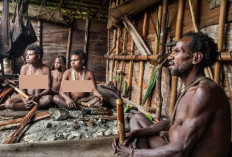 Ngeri! Suku Korowai Dikenal Sebagai Suku Kanibal di Indonesia, di Sini Tinggalnya