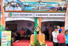 Sponsor Festival Kapuang Sati Ratau Betuah, Bank Bengkulu Bantu Senilai Ini  