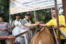 Gubernur Dorong Riak Siabun jadi Lumbung Pengembangan Ternak 