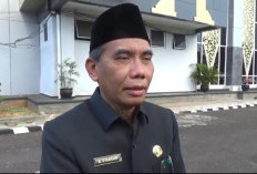 Wabah Ngorok Serang Ribuan Ternak di 5 Daerah Ini, Diduga Berasal dari Sumatera Selatan