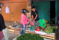 Harga Cabai Merah Terjun Bebas, Harga Ayam Potong Juga Turun