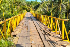 3 Jembatan Gantung Bengkulu Tengah Masuk Program Perintis TNI